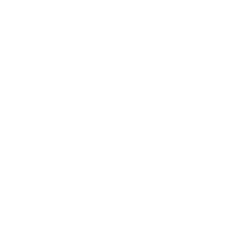  SNS動画30万円