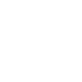  SNSサポート 2万円/月